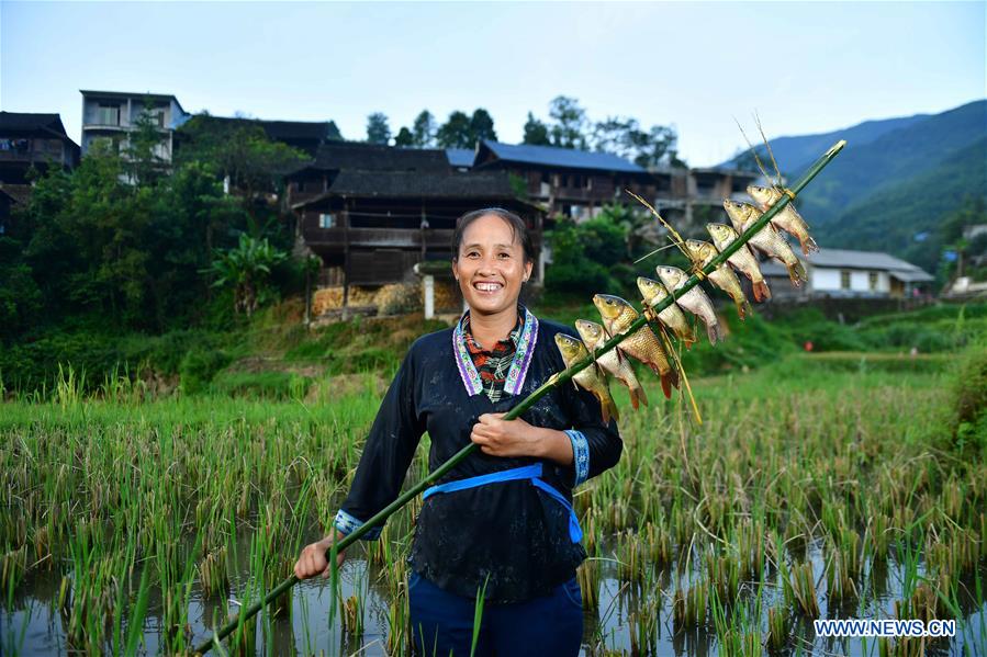 CHINA-GUANGXI-POVERTY ALLEVIATION WORK (CN)