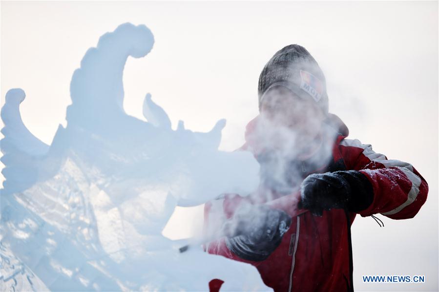 CHINA-HEILONGJIANG-HARBIN-ICE SCULPTURE (CN)