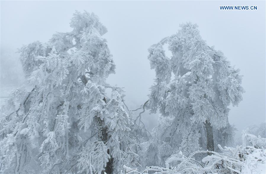 #CHINA-HUBEI-ENSHI-ICY WEATHER (CN)