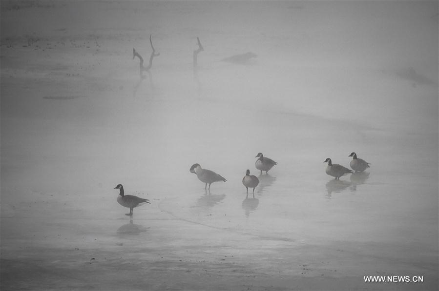 U.S.-WASHINGTON D.C.-FOG