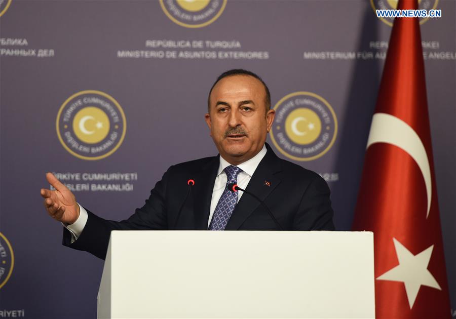 TURKEY-ISTANBUL-TURKEY-AUSTRIA-FMS-PRESS CONFERENCE