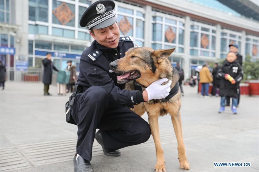 CHINA-GUIYANG-POLICE DOG (CN)