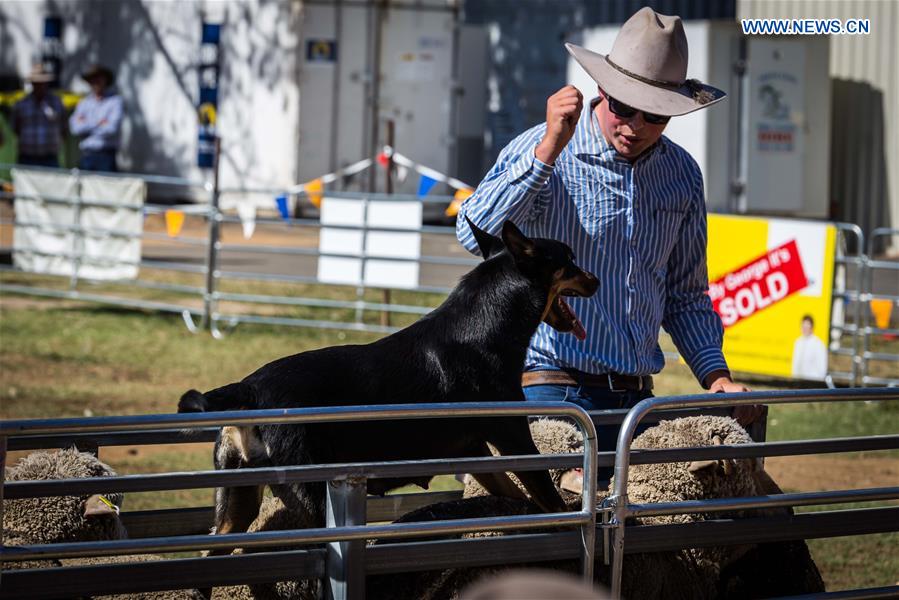 AUSTRALIA-CANBERRA-AGRICULTURAL SHOW