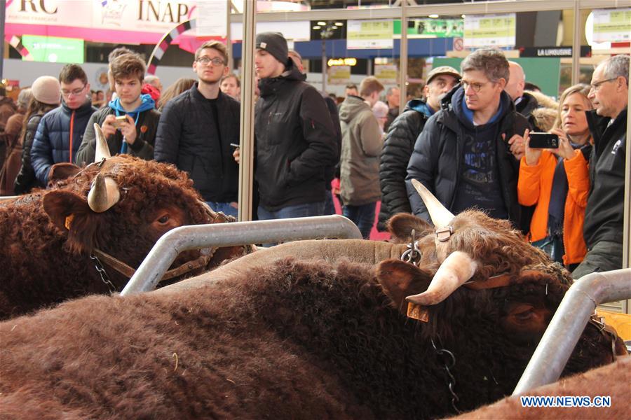 FRANCE-PARIS-55TH PARIS INTERNATIONAL AGRICULTURAL SHOW