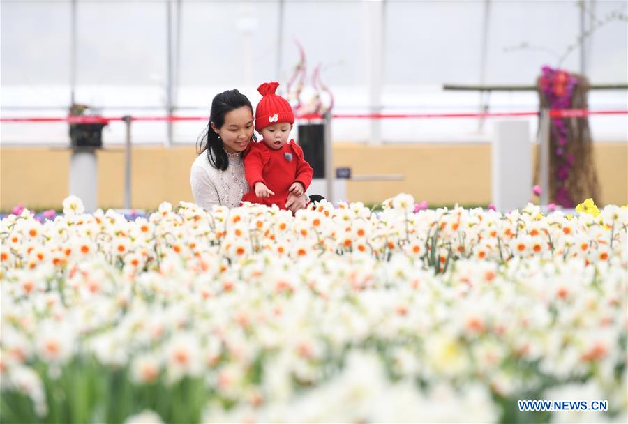 CHINA-CHONGQING-NETHERLANDS-FLOWER-SHOW (CN)