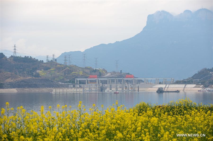 #CHINA-HUBEI-THREE GORGES-SCENERY (CN)