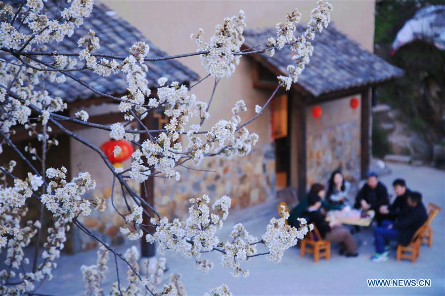 #CHINA-SPRING-SCENERY (CN)