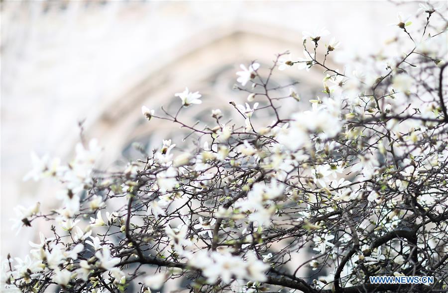 ITALY-MILAN-FLOWERS