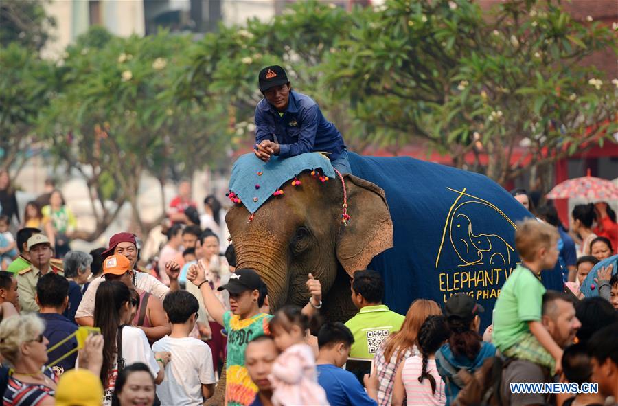 LAOS-LUANG PRABANG-ELEPHANT-NEW YEAR PARADE