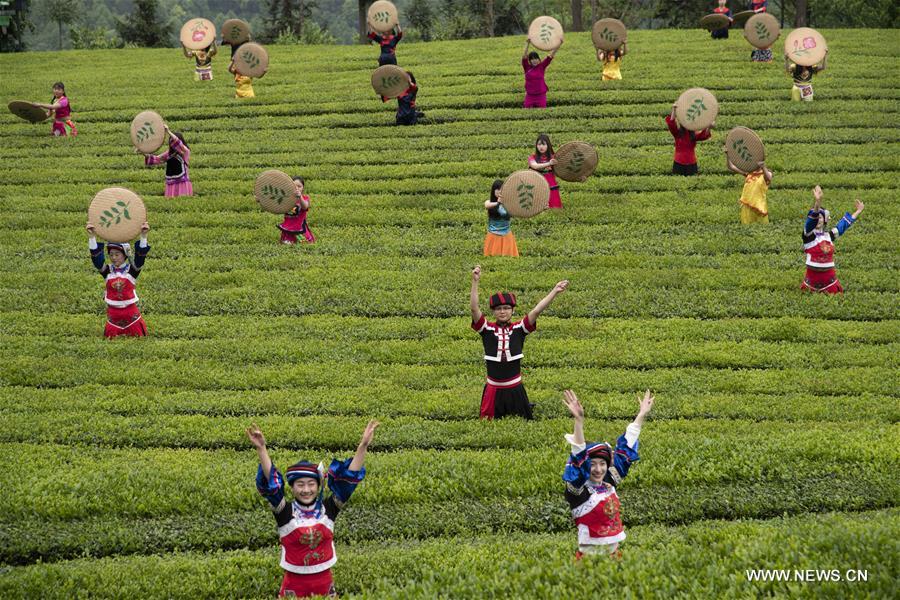 CHINA-HUBEI-TEA GARDEN(CN)