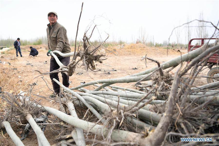 CHINA-GANSU-EARTH DAY-TREE PLANTING (CN) 