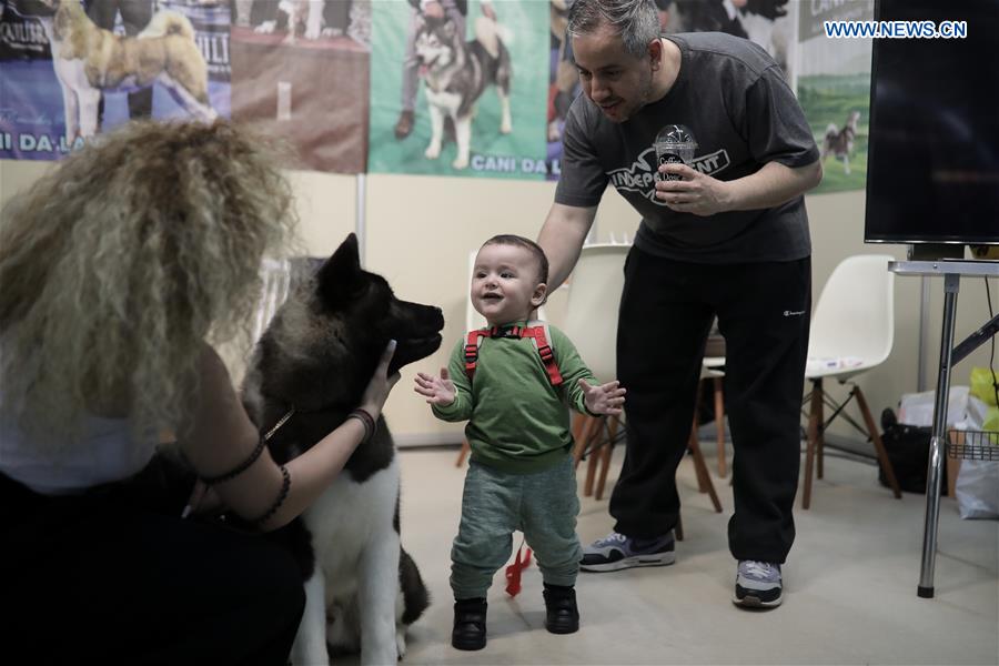 GREECE-THESSALONIKI-EXHIBITION-DOG AND CAT