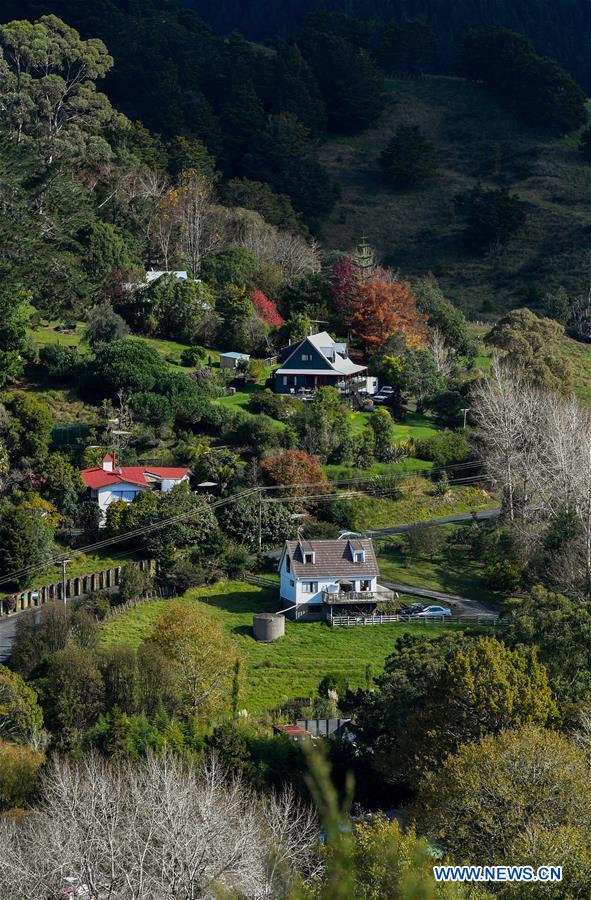 NEW ZEALAND-PUHOI-SCENERY