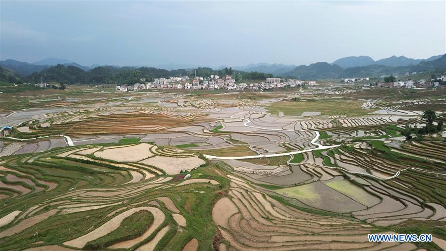 #CHINA-GUANGXI-TERRACED FIELDS (CN)