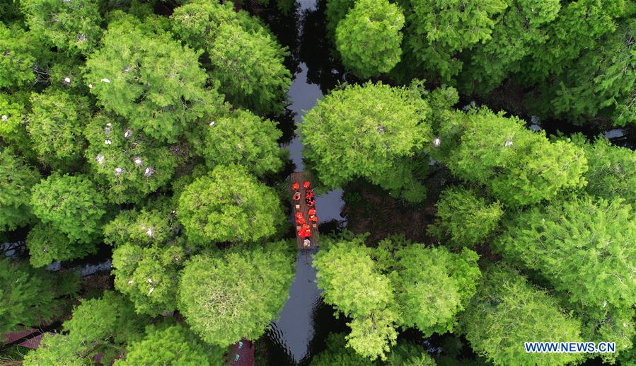 #CHINA-JIANGSU-FOREST-TOURISM(CN)