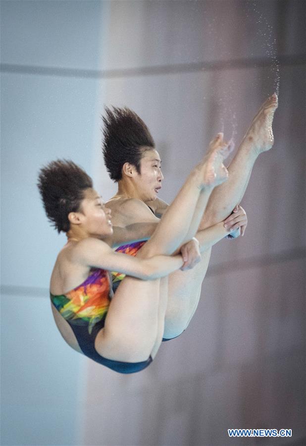 (SP)CHINA-WUHAN-DIVING-FINA-WORLD CUP (CN)