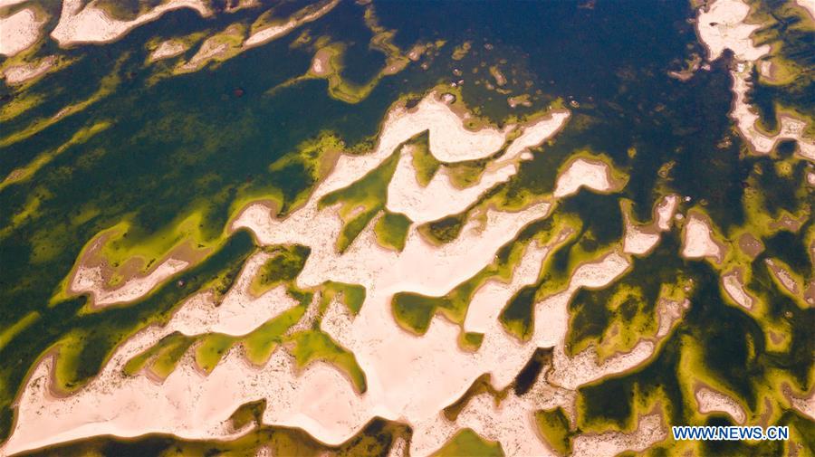 CHINA-INNER MONGOLIA-ORDOS-DESERT-WETLAND (CN)