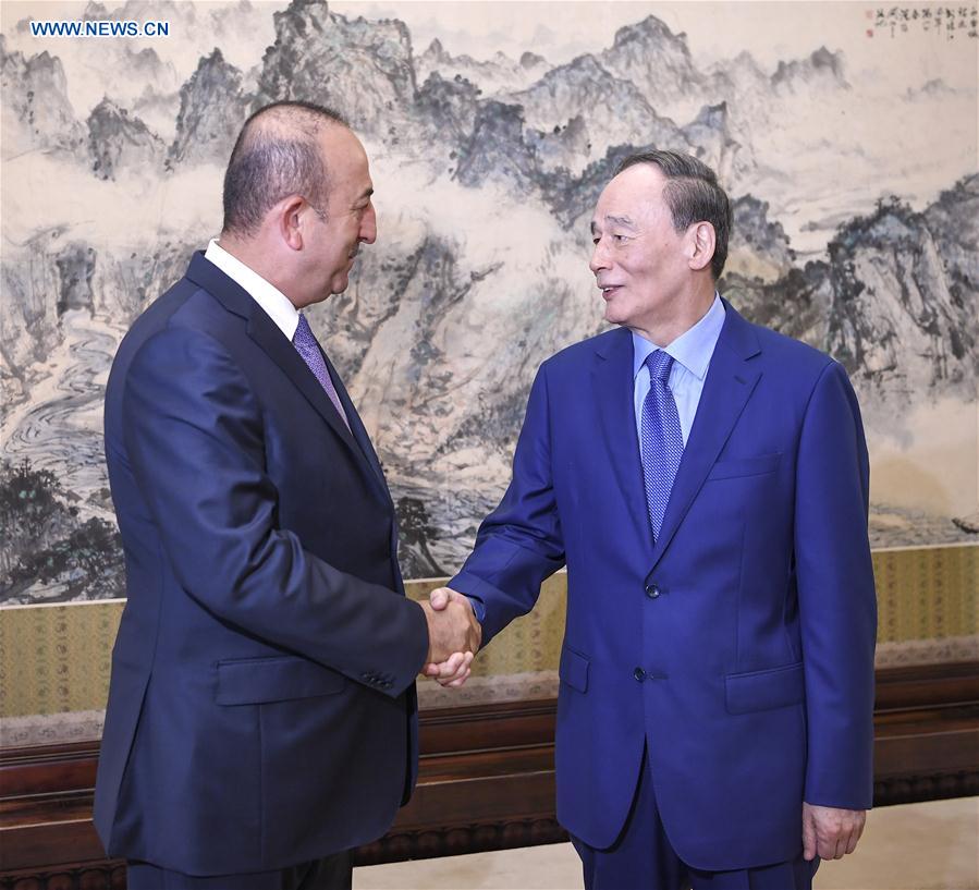 CHINA-BEIJING-WANG QISHAN-TURKISH FM-MEETING (CN)