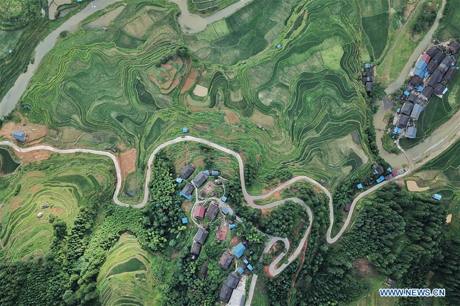 CHINA-GUIZHOU-RONGJIANG-TERRACED FIELD (CN)