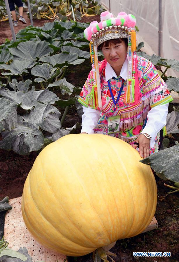 CHINA-YUNNAN-WUDING-VEGETABLE SEEDS EXPO (CN)