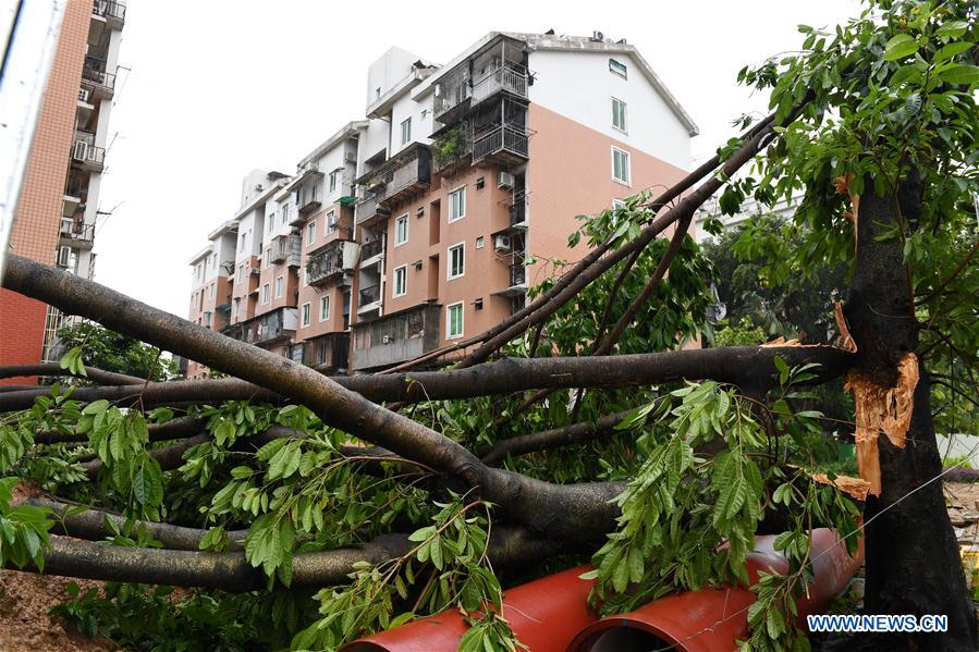 CHINA-TYPHOON MARIA-LANDFALL (CN)