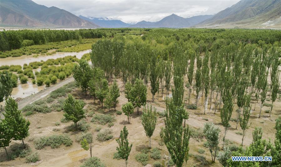 CHINA-TIBET-SHANNAN-DESERT CONTROL (CN)