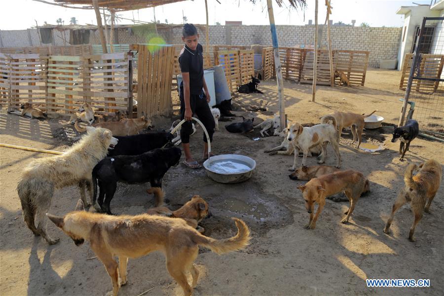 EGYPT-GIZA-DOG SHELTER