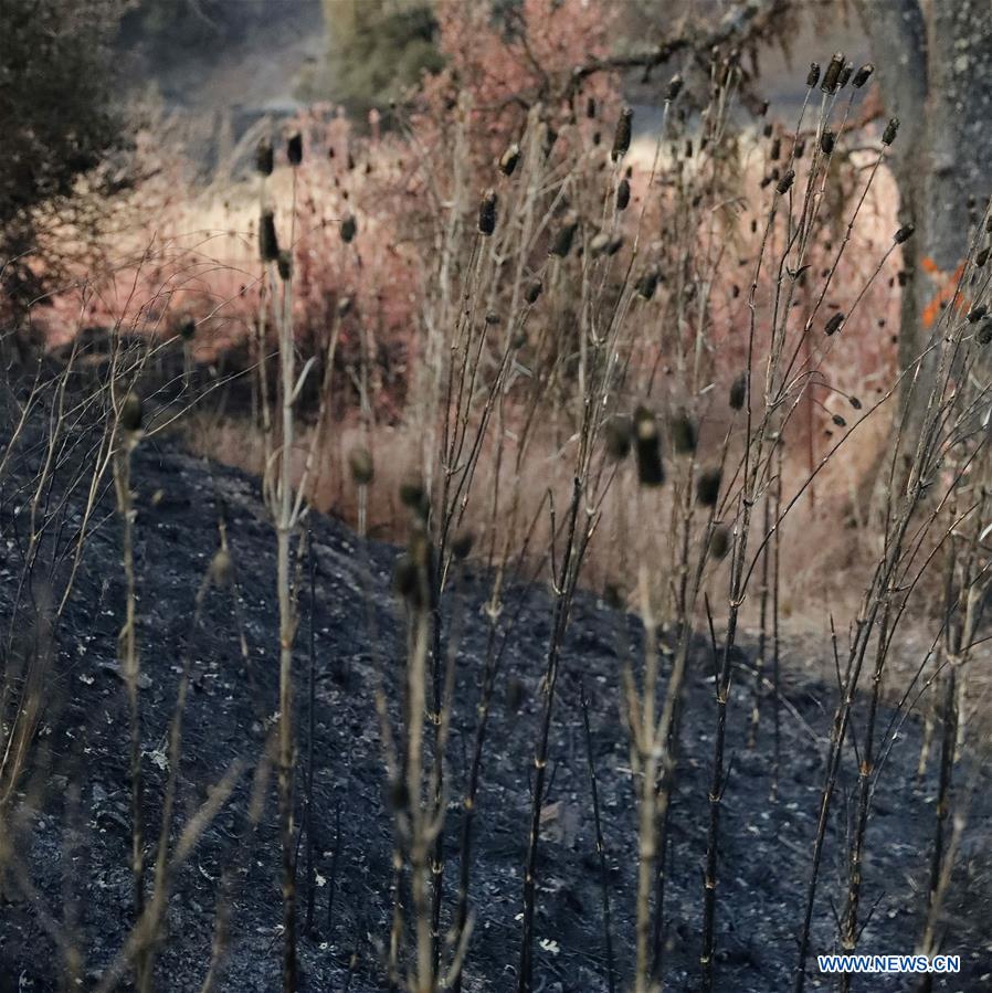 U.S.-CALIFORNIA-WILDFIRE-AFTERMATH