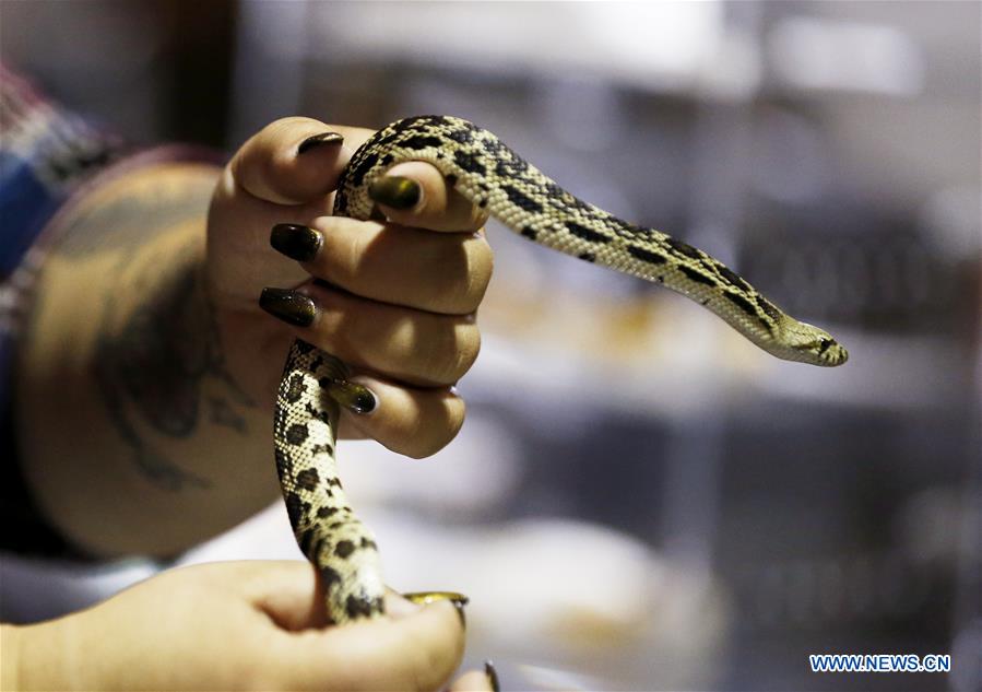 U.S.-LOS ANGELES-REPTILE SHOW