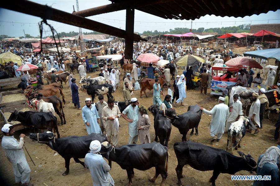 PAKISTAN-PESHAWAR-EID AL-ADHA-MARKET