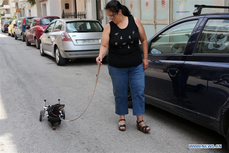 GREECE-ATHENS-WHEELCHAIR-PETS