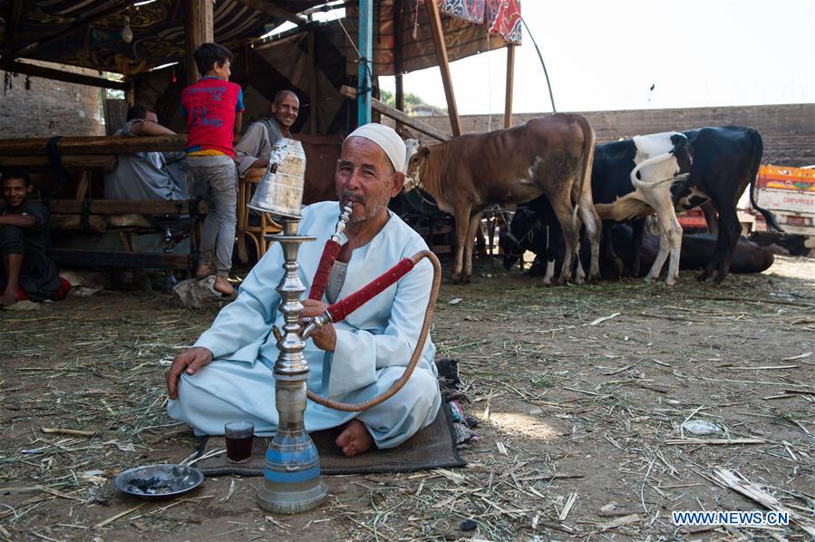 EGYPT-CAIRO-EID AL-ADHA-LIVESTOCK MARKET