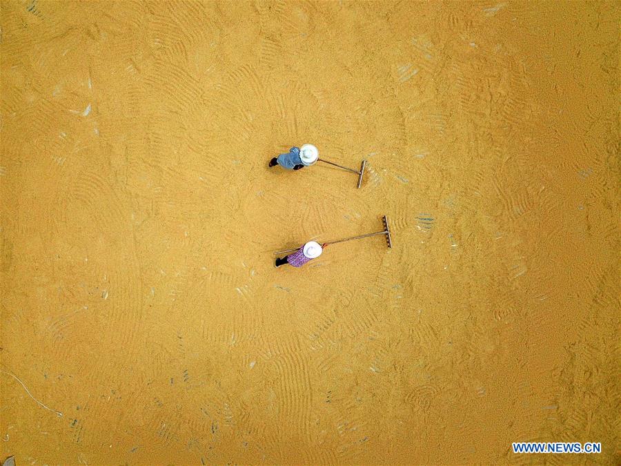 #CHINA-GUIZHOU-YUQING-FARMER-CHEN GANG (CN)