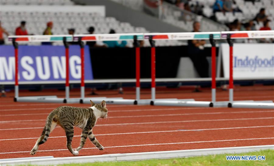 (SP)INDONESIA-JAKARTA-ASIAN GAMES-ATHLETICS-CAT