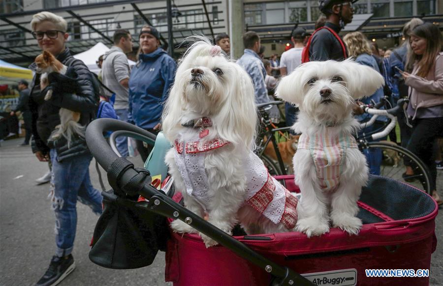 CANADA-VANCOUVER-PET-EVENT