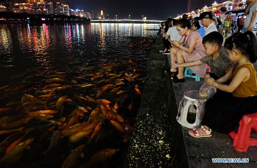 CHINA-FUJIAN-RIVER-FISH (CN)