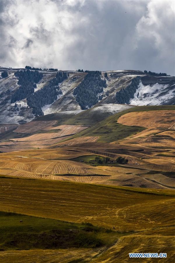 CHINA-XINJIANG-QITAI-SCENIC SPOT-SNOW SCENERY (CN) 