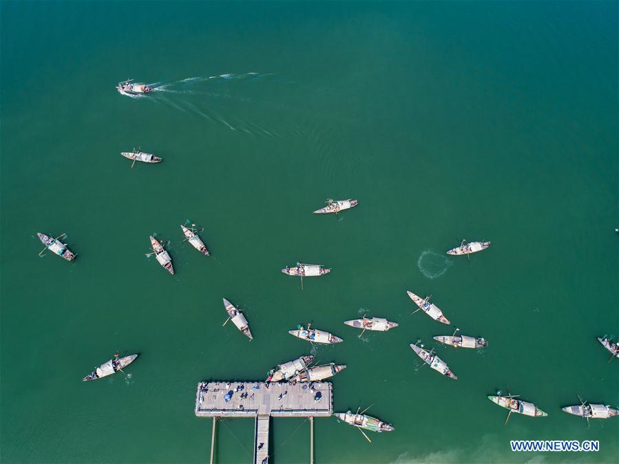 CHINA-ZHEJIANG-HANGZHOU-FISHERY-HARVEST (CN)