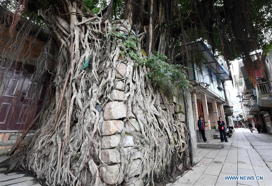 CHINA-FUJIAN-FUZHOU-ANCIENT VILLAGE (CN)