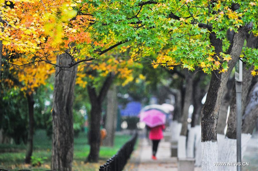 #CHINA-QINGDAO-BADAGUAN-SCENERY(CN)