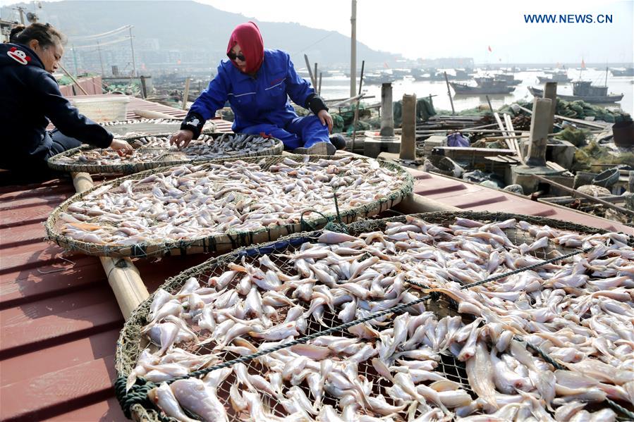 #CHINA-JIANGSU-LIANYUNGANG-FISHING (CN)