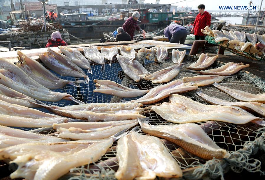 #CHINA-JIANGSU-LIANYUNGANG-FISHING (CN)