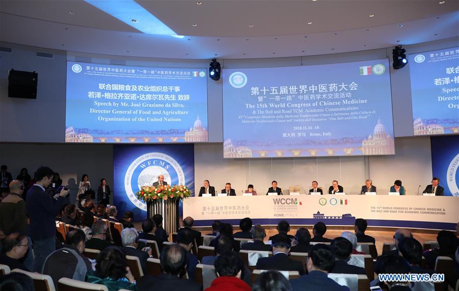 ITALY-ROME-WORLD CONGRESS OF CHINESE MEDICINE-OPENING