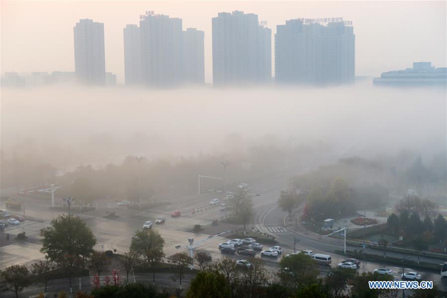 #CHINA-SHANDONG-JINING-ADVECTION FOG (CN*)