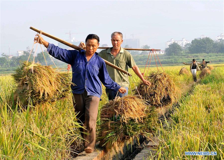 CHINA-GUANGXI-POVERTY ALLEVIATION-STONY DESERTIFICATION CONTROL (CN)