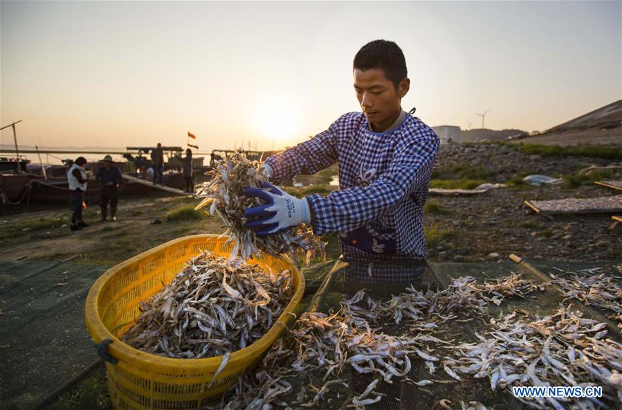 #CHINA-JIANGXI-FISHERY-PRODUCTION (CN)