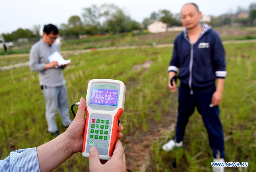 Xinhua Headlines: Big data reshaping harvest for Chinese farmers