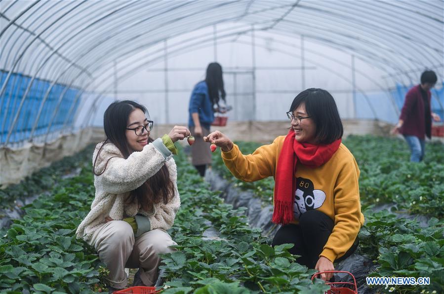 CHINA-ZHEJIANG-DONGLIN-ECOLOGICAL AGRICULTURE (CN)