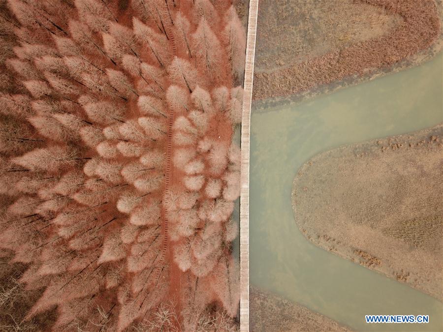 #CHINA-JIANGSU-HONGZE LAKE-SCENERY (CN)