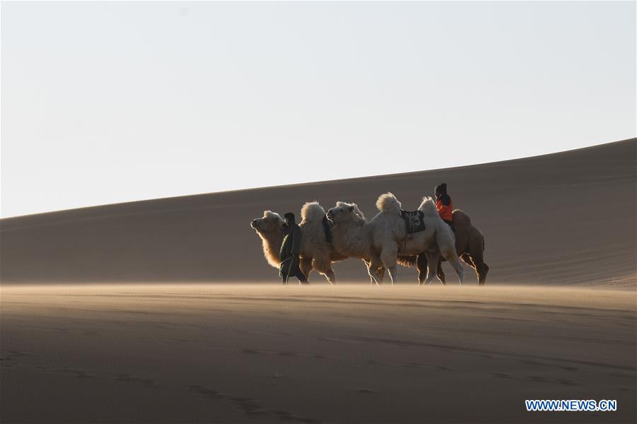 CHINA-INNER MONGOLIA-CAMEL NADAM (CN)